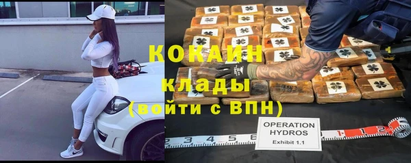 бошки Няндома