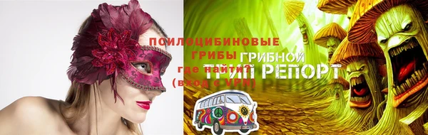 бошки Няндома