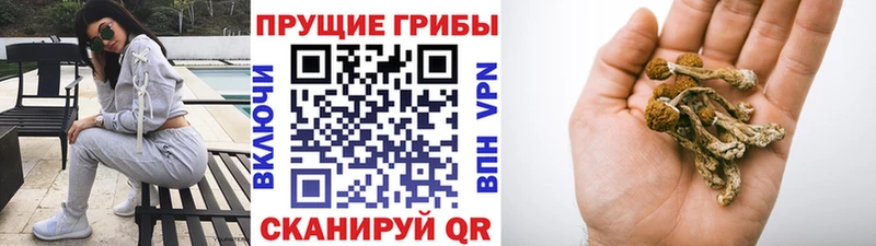 Псилоцибиновые грибы Magic Shrooms  площадка официальный сайт  Ильский  где найти наркотики 